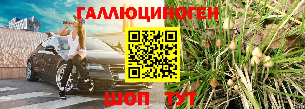 как найти наркотики  Псилоцибиновые грибы MAGIC MUSHROOMS  Вход с VPN  Батайск  Галлюциногенные грибы Psilocybe 